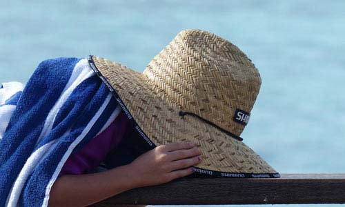 云呼叫中心系统